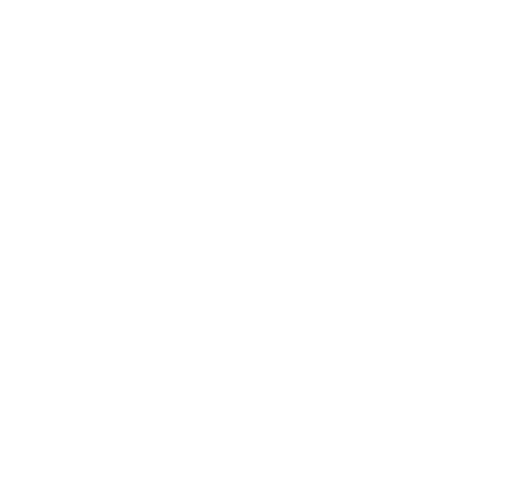 Search Icon